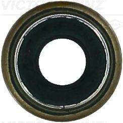 Seal Ring, valve stem